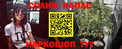 твердый Севастополь
