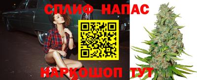 твердый Севастополь