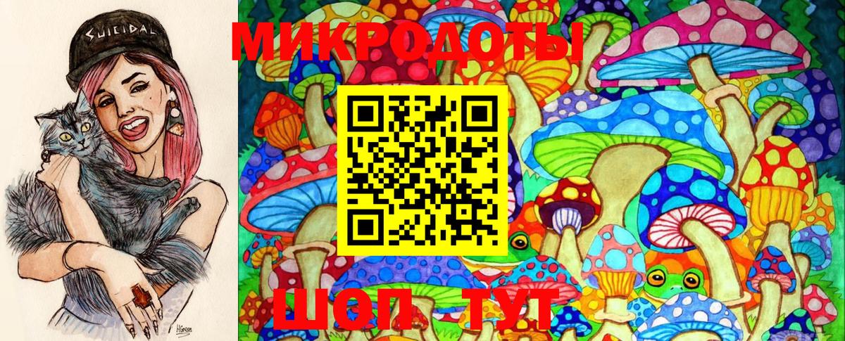 закладка  Галлюциногенные грибы Psilocybe  Вход с VPN  Нальчик 